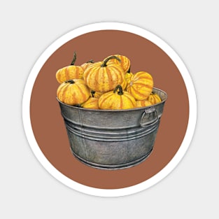 A basin with pumpkins Magnet